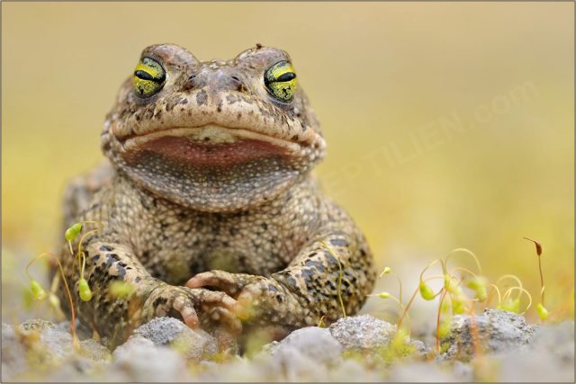 All Life Is Connected