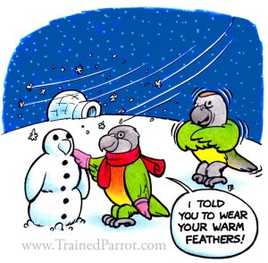 winter_parrots_cartoon