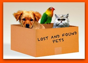 lost-and-found-pets