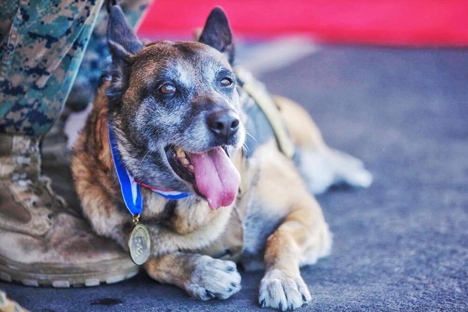 22815623_782811398510245_244716093401599056_n