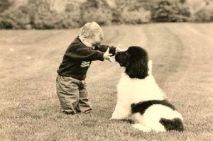 A child should never be left unsupervised with any dog at any time