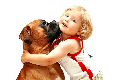 This is not cute. This is dangerous.