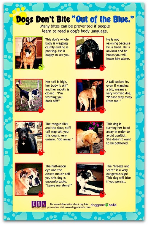 Dog bite out of nowhere myth