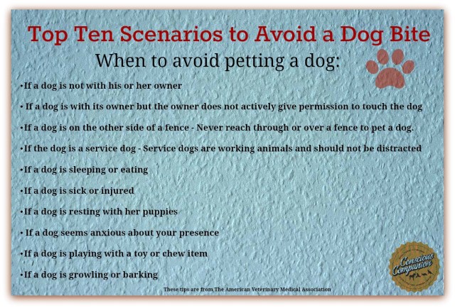 Dog bite prevention week