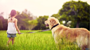 “My dog would never bite anyone!” Are you willing to bet your dog on that statement?