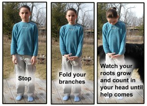 press_release_distribution_0200462_37638