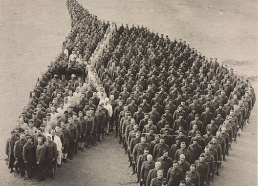 war horse_memorial day_animals who serve