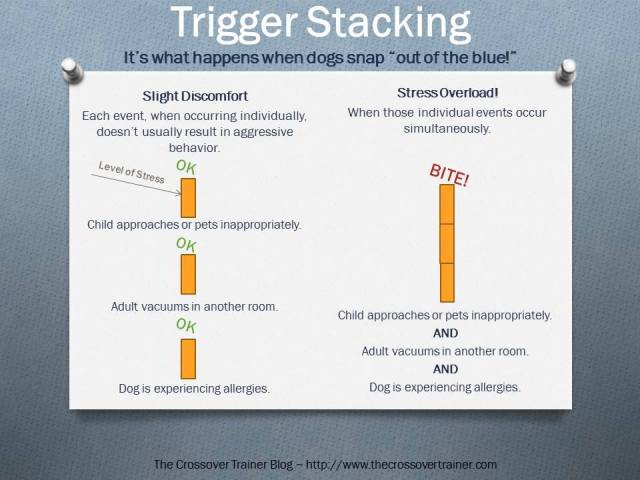 Trigger Stacking_by The Crossover Trainer