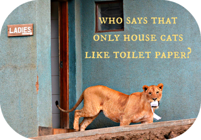 Who Says Only House Cats Like Toilet Paper?