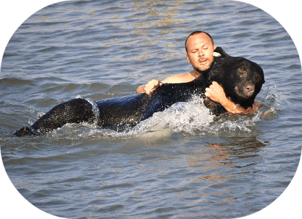 bear rescued from water
