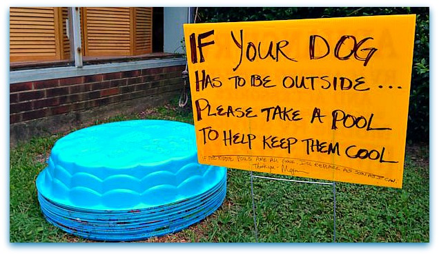 Pools Places Outside Megan's Cafe with a Sign to Please Take A Pool to Keep Your Canine Cool!