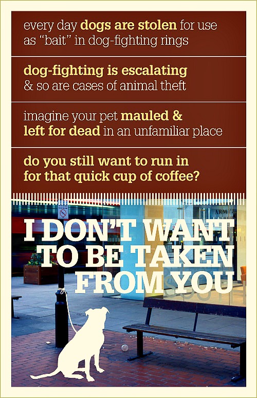 dog theft prevention pets