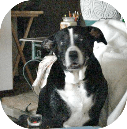 One of April's famous "crazy faces" when she was feeling frisky