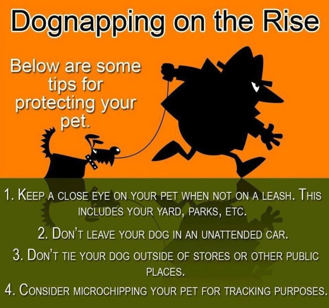 Stop-Pet-Theft