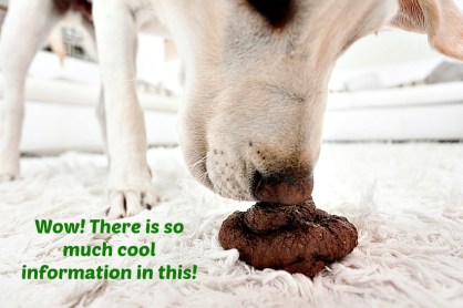 Poop has a plethora of information! 
