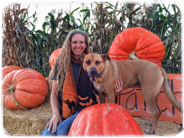 Conscious Companion_dog behavior_canine clues