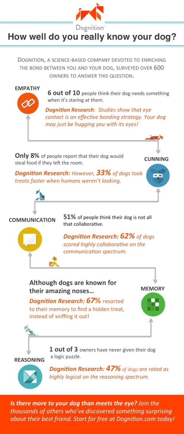 DGN-Infographic_LS-1
