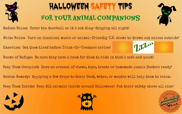 halloween-safety-tips-for-pets