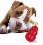 Give them things to chew on and play with to occupy them while they are in their “safe hideout”.