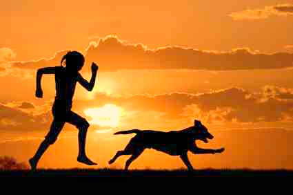 Exercising with your animal companion should be FUN! Amd you increase your bond