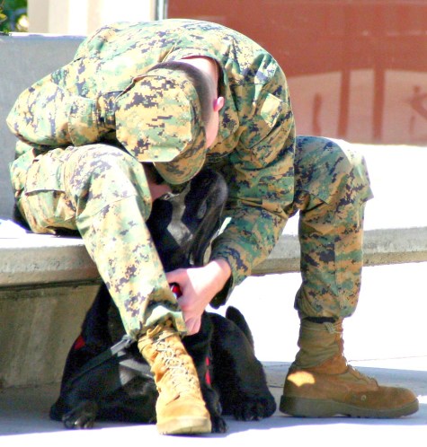 A U.S. Marine in the Freedom DOgs program with his "Partner for Life"