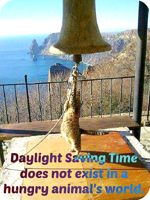 Daylight Saving TIme In Our Home