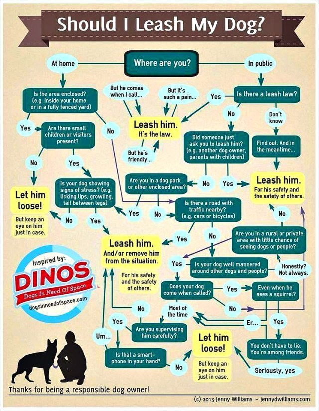 To Leash, or Not To Leash?