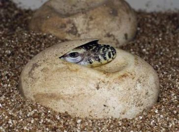 6a010535647bf3970b014e8bd6a896970d-500wi