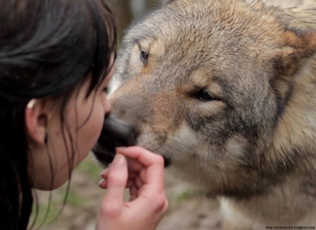 wolves and women woman and wolf