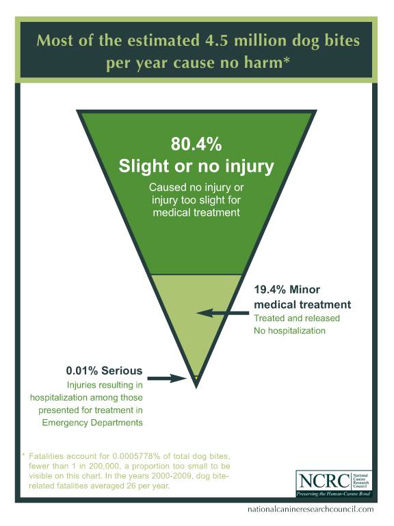 11162194_10152898759502076_8619681291936299363_n