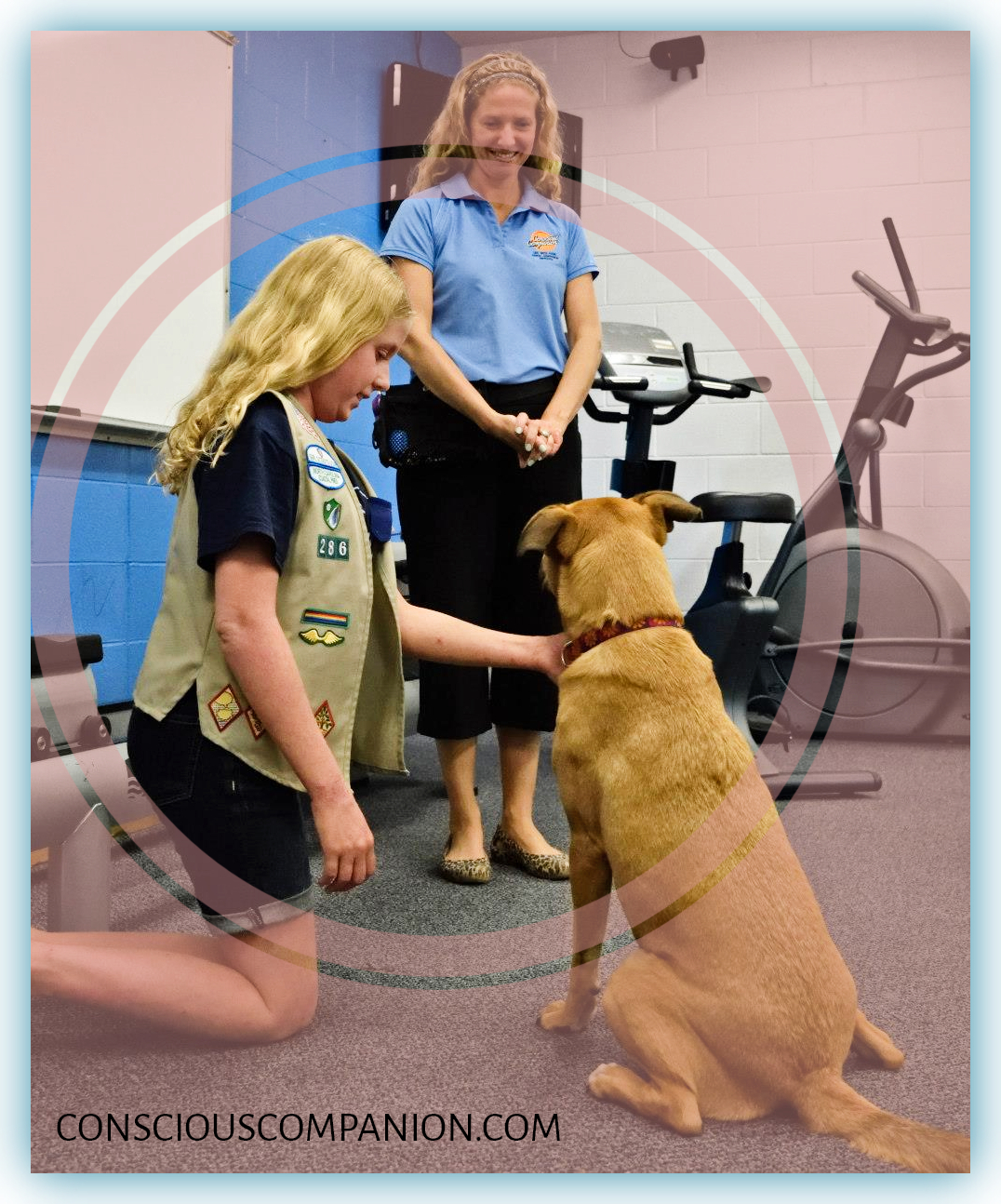 Conscious Companion_dog safety