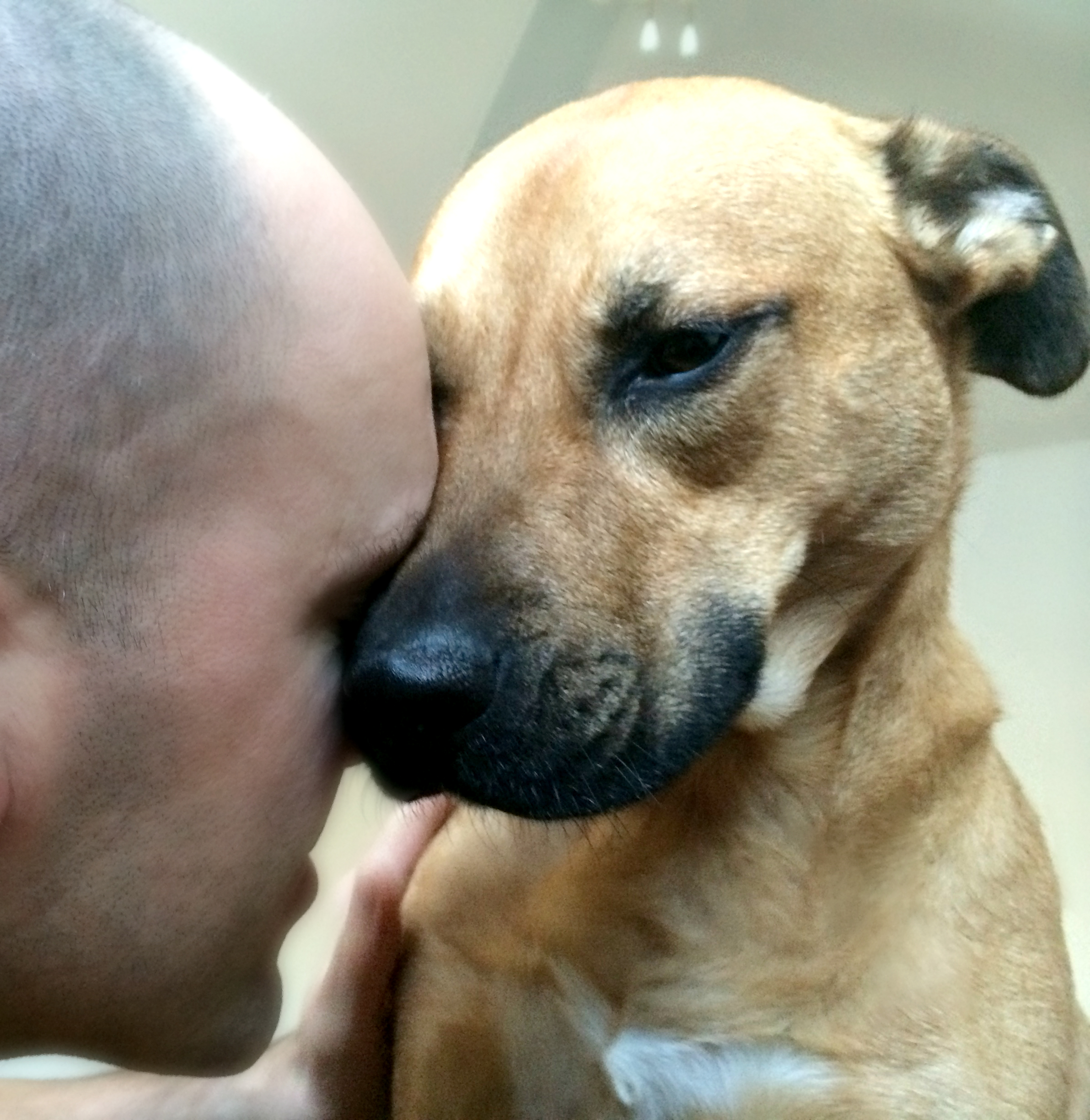 Ocytocin_Love hormone_bonding with dog