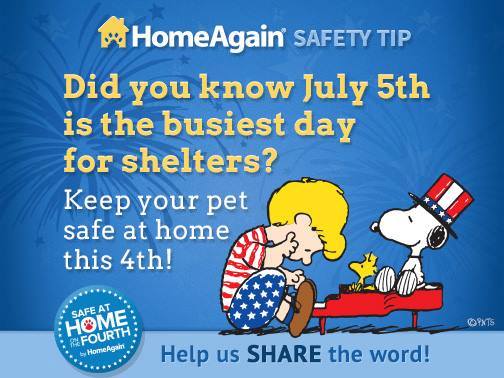 10462983_792005364153371_7222867396740942441_n