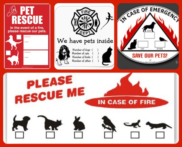 pet rescue stickers _fire_safety_ There are so many pet rescue stickers available for your home and your animal family! 
