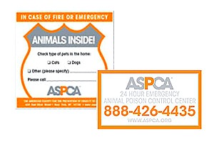 Order a FREE safety window decal for your family!