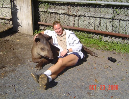 Reward-Based Training is how you gain the trust of animals, like our handsome Tapir, named Melon!