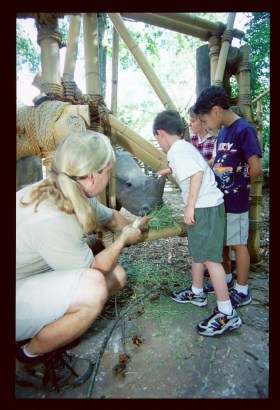 This Rhino learned through positive training that people are safe, which allowed our zoo guests to interact with her.