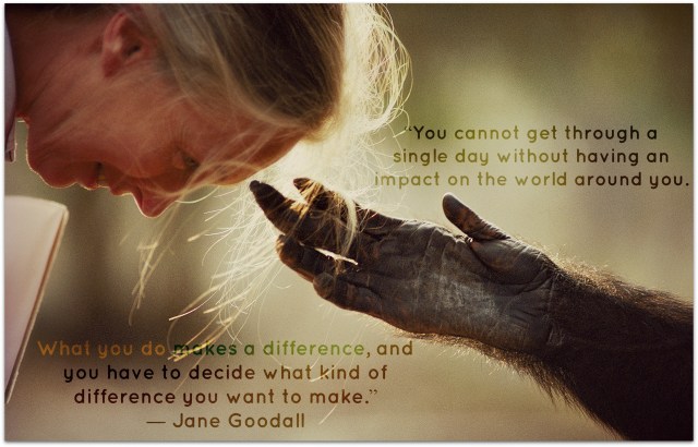 jane-goodall_quotes