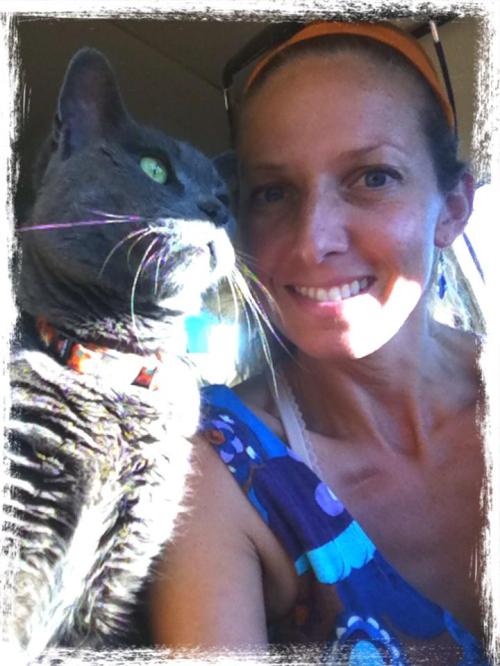 King Albert The Grey enjoying a much needed break out of his kennel to do manly cool cat things. This was at the 7 hour mark of our trip to our new home.