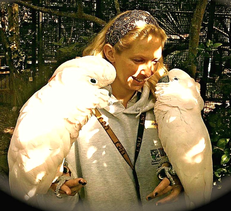 Last Day At Zoo cockatoos