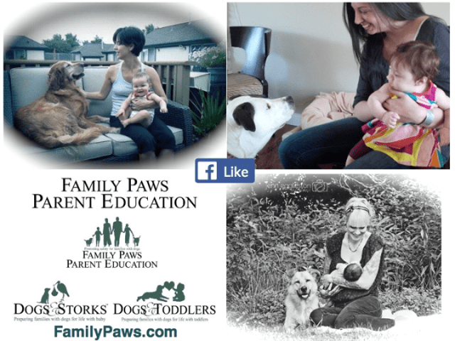 Join us on Facebook! (Click here.)