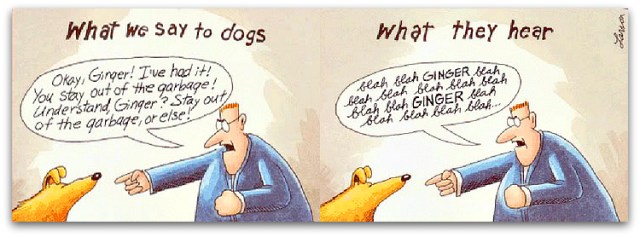 blahblah_gary larson ginger dog what dogs hear