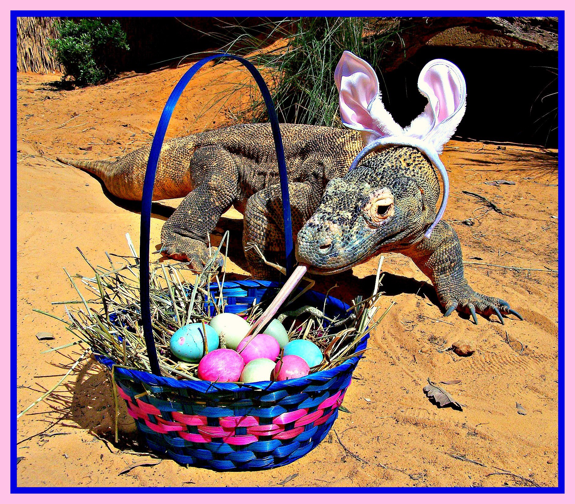 easter egg_komodo_reptiles_dragon