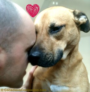 Oxytocin_bond with dog_love hormone
