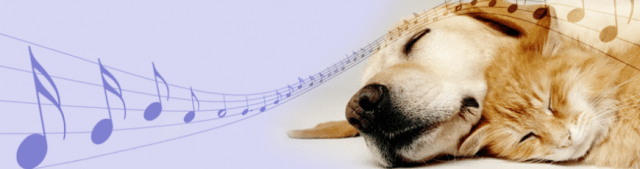 dog-cat-music-229384_870x230