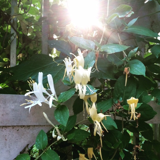 success in the little things