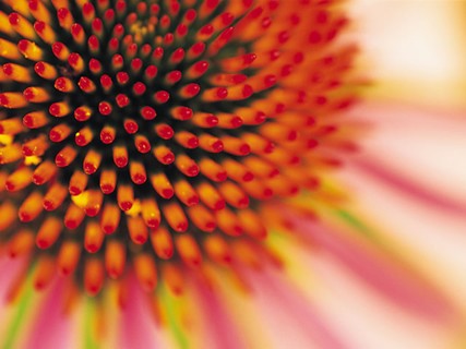 success_sacred geomerty