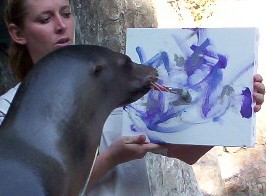 My mentor and friend, Secret, teaching the sea lions how to paint