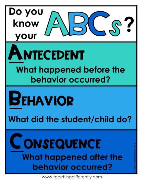 ABCs of behavior_dog behavior_cat behavior_ antecedent_consequence