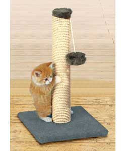 scratching post cats displacement behavior